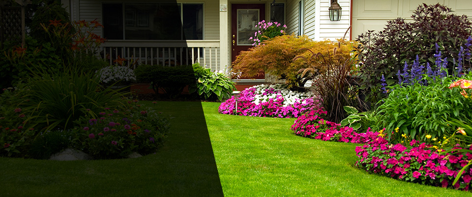 Montezuma Landscapers