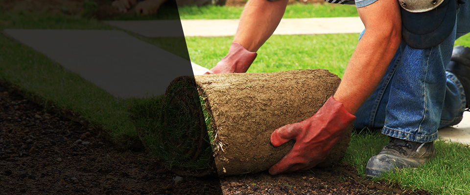 Montezuma Landscapers